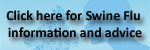 For the latest information on swine flu click here