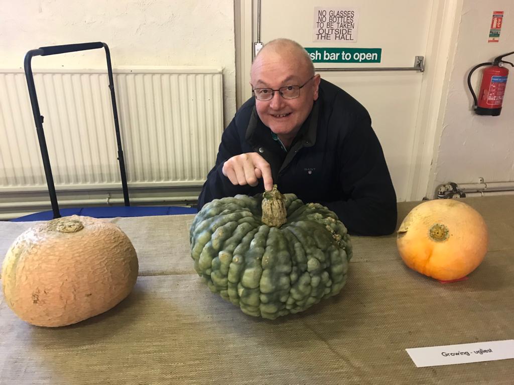 Pumpkins on Display